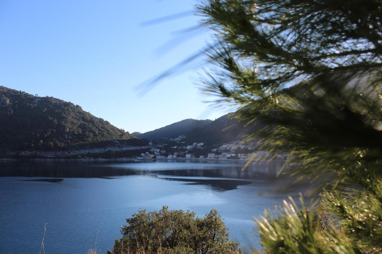 Apartment Marija Mljet 4 Sobra Dış mekan fotoğraf